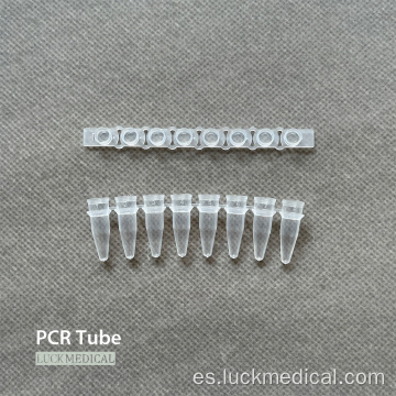 PCR de tira de 8 tubos de plástico desechable